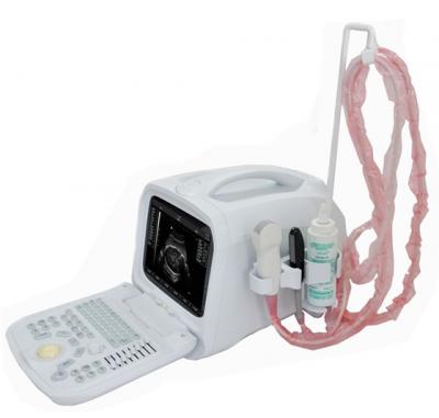 Veterinary ultrasound scanner and human ultrasound scanner manufacture